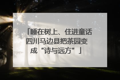 睡在树上、住进童话 四川马边县把茶园变成“诗与远方”